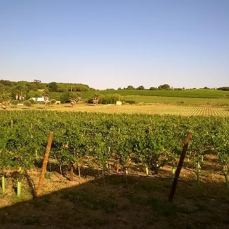Casa Castanhos Country house *